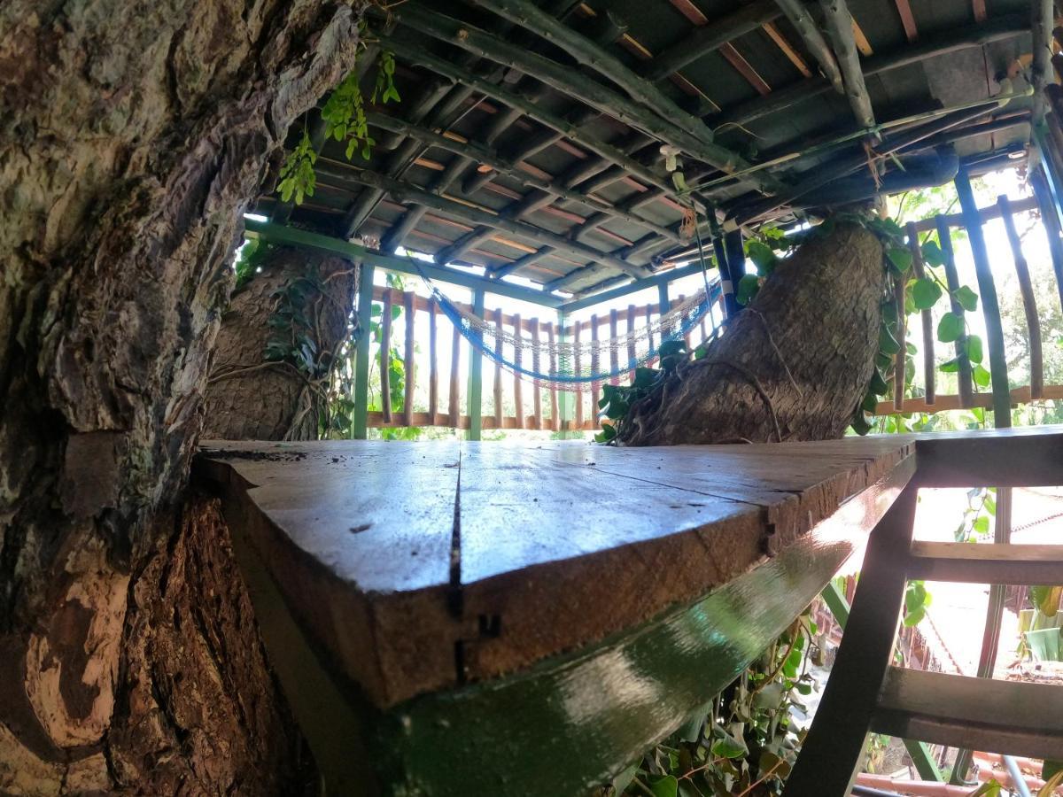 Tree House Samanea Lodge Puerto Limon Extérieur photo
