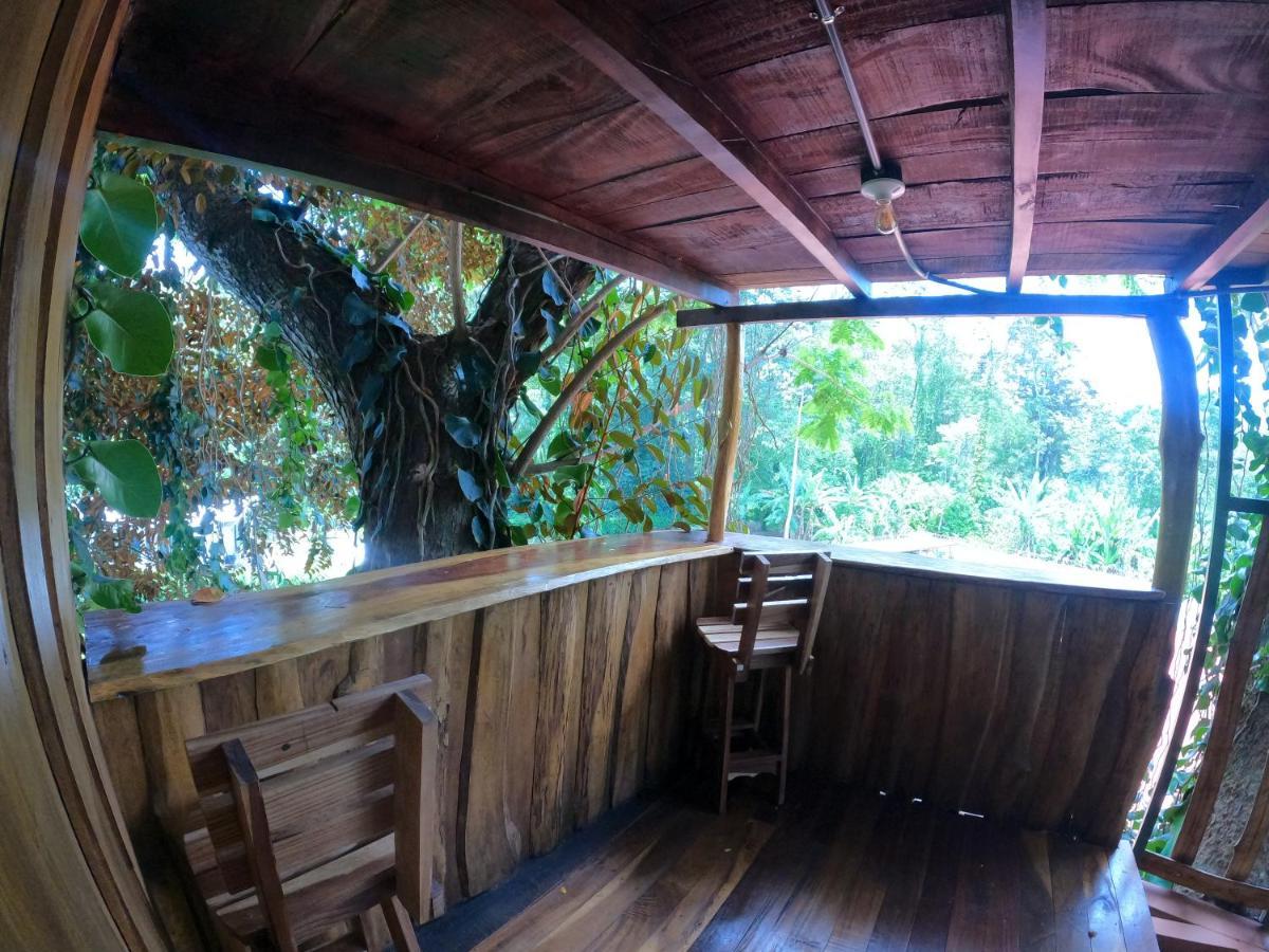 Tree House Samanea Lodge Puerto Limon Extérieur photo