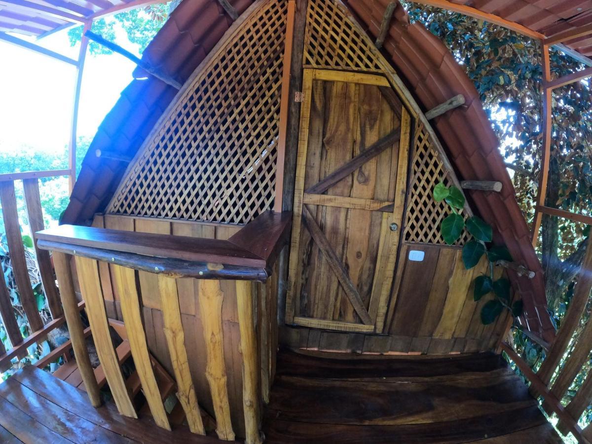 Tree House Samanea Lodge Puerto Limon Extérieur photo