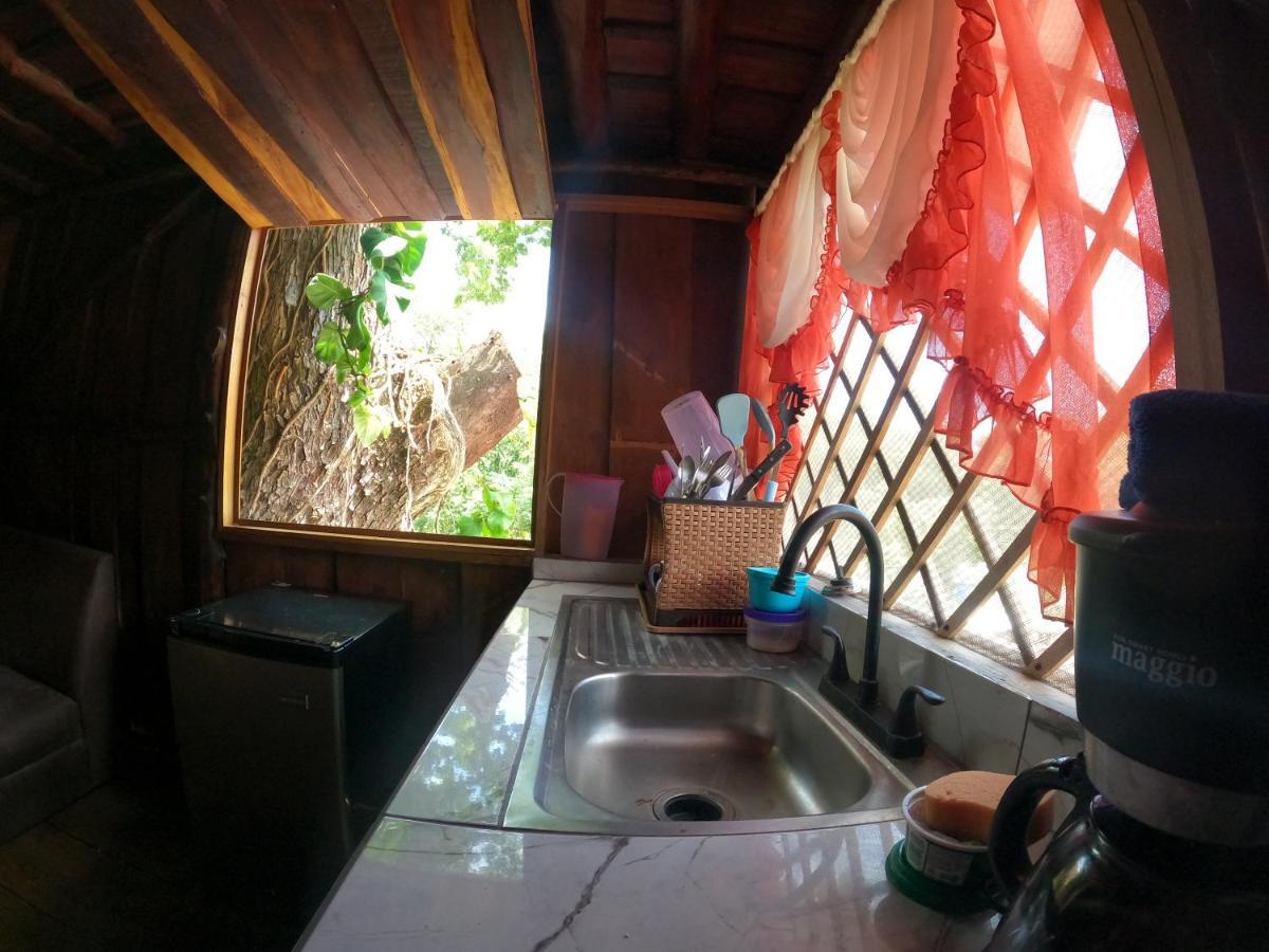 Tree House Samanea Lodge Puerto Limon Extérieur photo