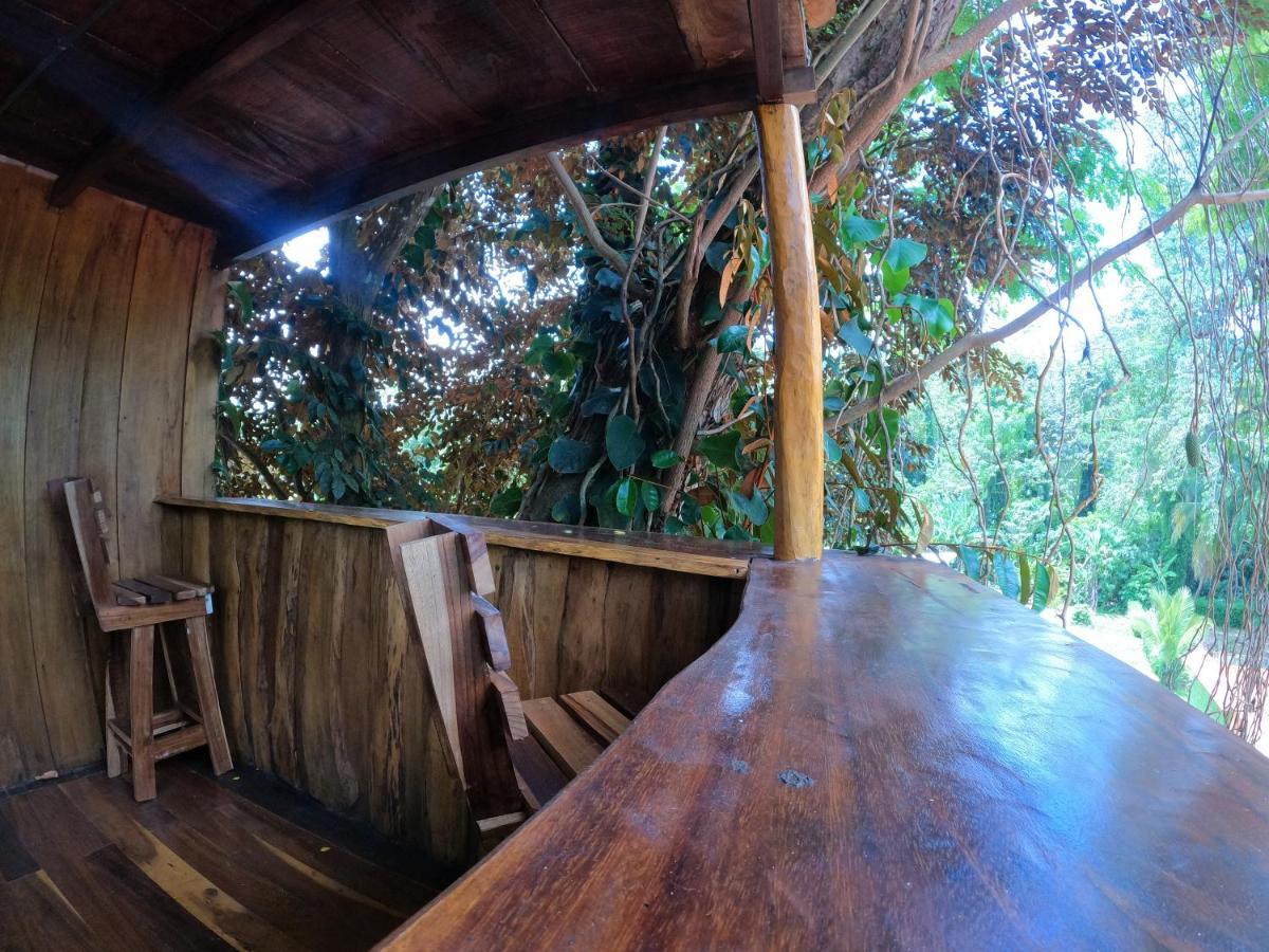 Tree House Samanea Lodge Puerto Limon Extérieur photo